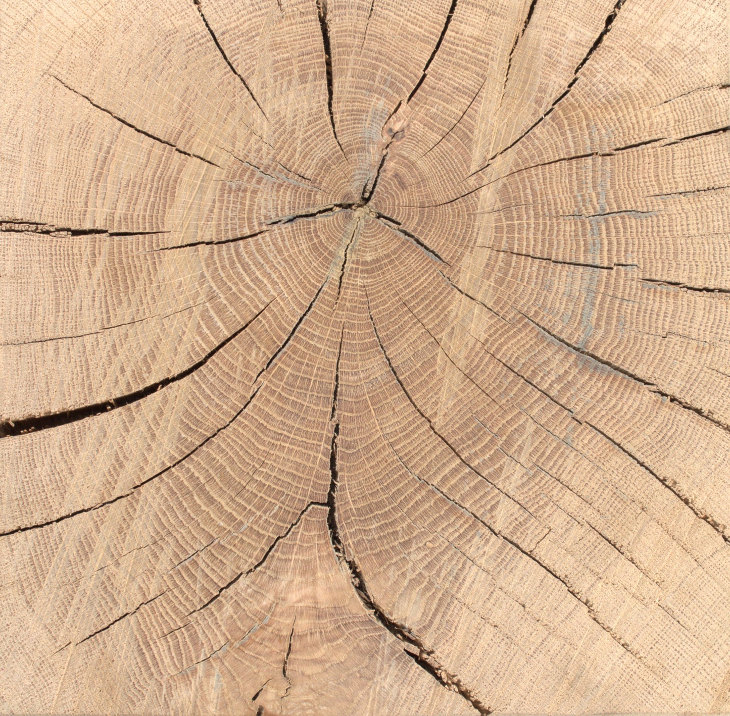 Plot décoratif artisanal en chêne massif brut 450X300X300mm (N°A118)